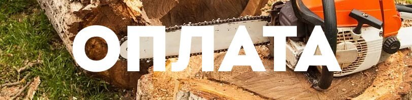 Оплата работы с деревьями Рязань в 2025 году
