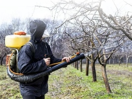 Опрыскивание деревьев Рязань